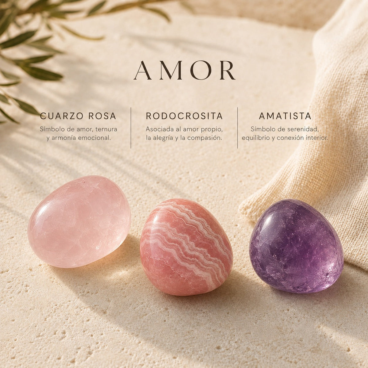 Amor