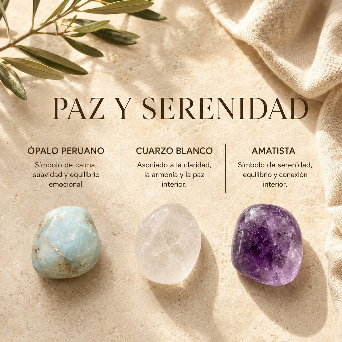 Paz & Seneridad