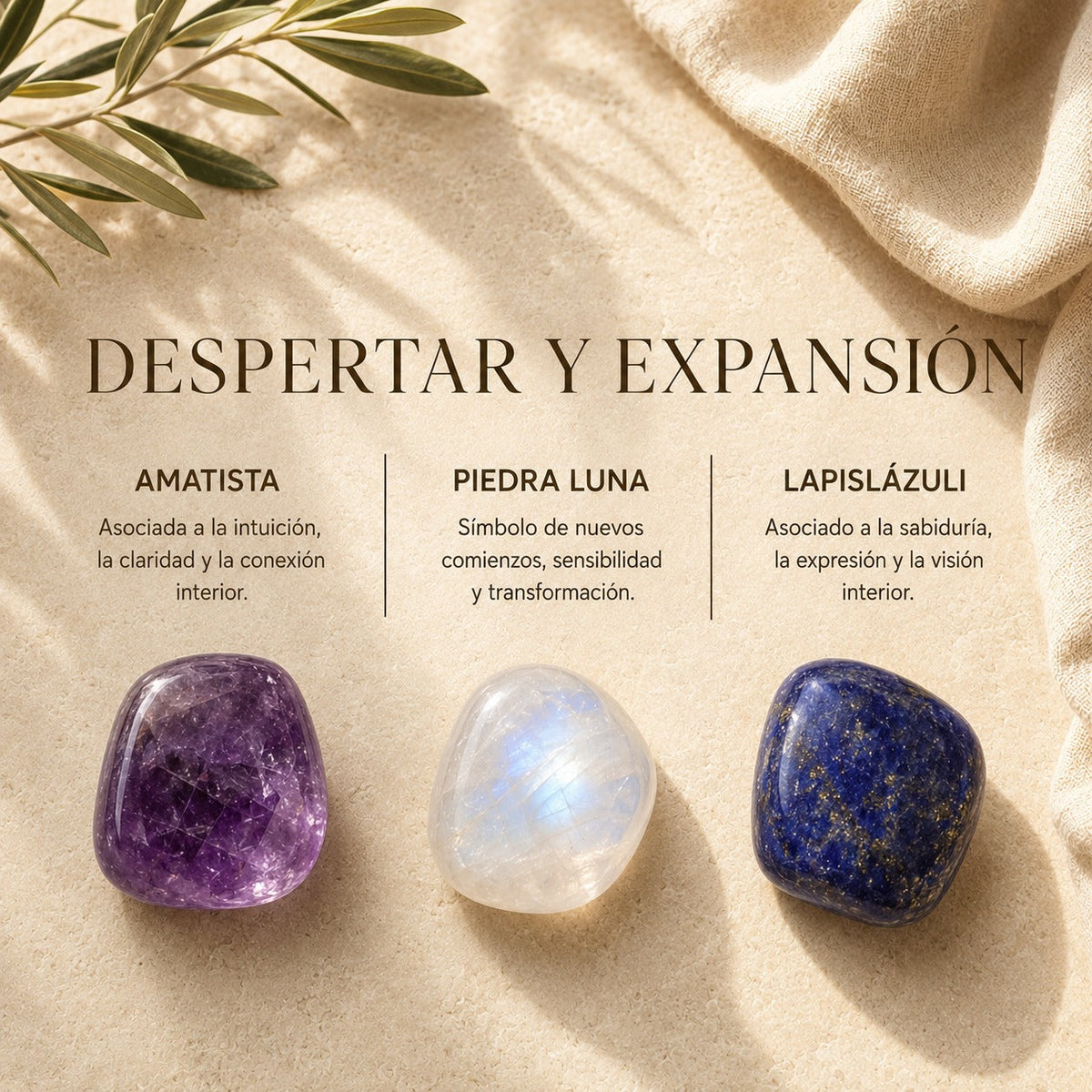 Despertar & Expansión